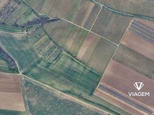 Prodej pole, Dolní Kounice, 228 m2