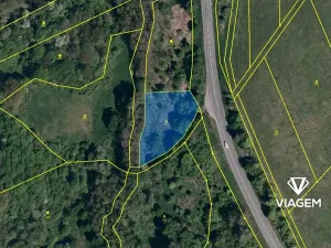 Prodej lesa, Doubravy, 22389 m2