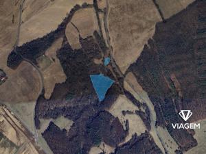 Prodej lesa, Doubravy, 22389 m2