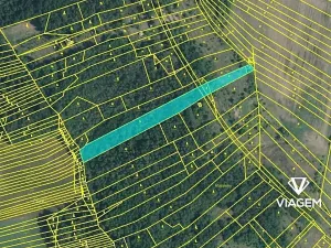 Prodej lesa, Silůvky, 4817 m2