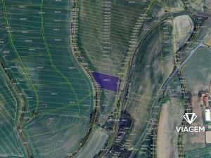 Prodej podílu pole, Zdounky, 1381 m2