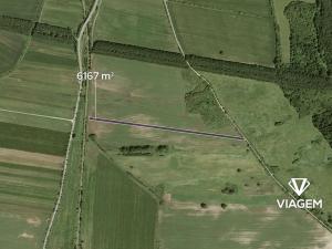 Prodej podílu pole, Javorník, 1541 m2