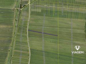 Prodej podílu pole, Javorník, 1352 m2