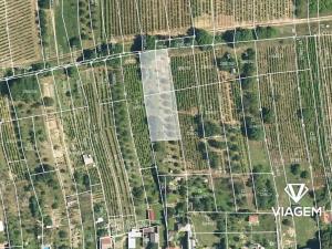 Prodej podílu zahrady, Polešovice, 65 m2