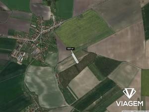 Prodej podílu pole, Vrbice, 834 m2