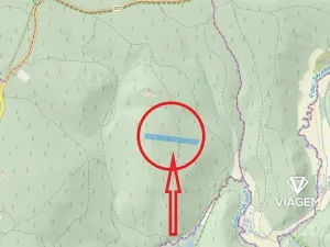 Prodej podílu lesa, Brno, 2941 m2