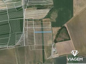 Prodej podílu pole, Ptení, 814 m2