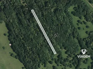 Prodej lesa, Kněždub, 997 m2