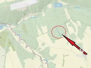 Prodej lesa, Kněždub, 997 m2