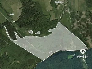 Prodej podílu lesa, Šanov, 16106 m2