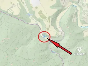 Prodej lesa, Buková, 981 m2