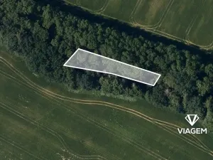 Prodej podílu lesa, Bouzov, 642 m2