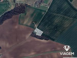 Prodej podílu pole, Veleň, 284 m2