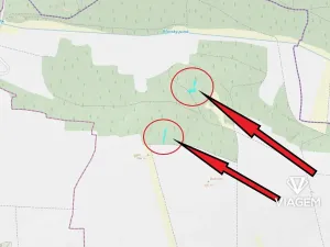 Prodej lesa, Bílov, 2331 m2