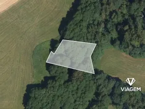 Prodej podílu lesa, Roprachtice, 684 m2