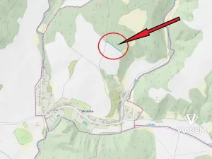 Prodej lesa, Skalička, 829 m2