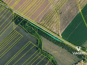 Prodej podílu lesa, Tulešice, 3694 m2