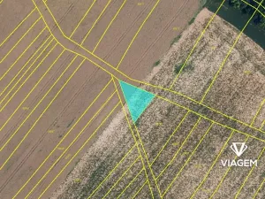 Prodej podílu lesa, Tulešice, 3694 m2