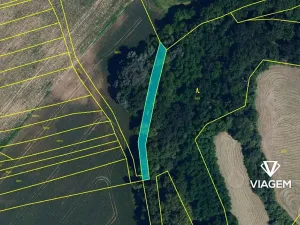 Prodej podílu lesa, Tulešice, 3694 m2