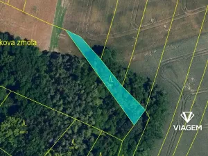 Prodej podílu lesa, Tulešice, 3694 m2