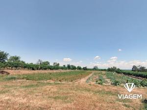 Prodej zahrady, Havraníky, 3121 m2