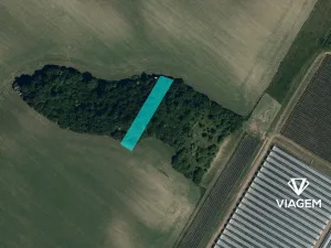 Prodej zahrady, Hovorany, 1843 m2