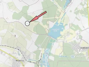 Prodej zahrady, Hovorany, 1843 m2