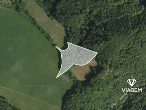 Prodej podílu lesa, Městečko Trnávka, 609 m2