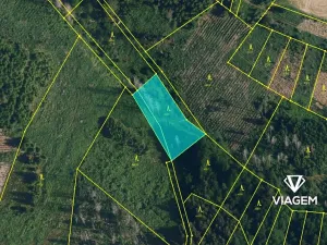 Prodej podílu lesa, Radkovice u Budče, 13191 m2