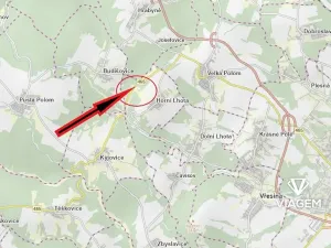 Prodej lesa, Horní Lhota, 9071 m2