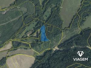 Prodej louky, Sokolov, 10460 m2