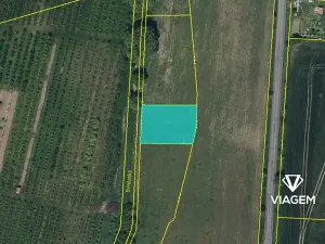 Prodej pole, Choltice, 1224 m2