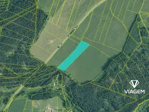 Prodej pole, Čachrov, 12599 m2