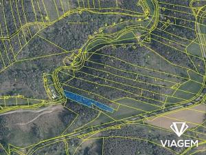 Prodej lesa, Slavičky, 3165 m2