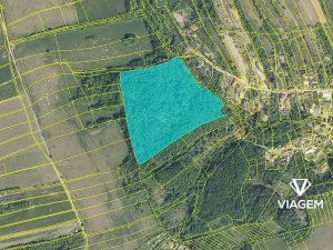 Prodej podílu lesa, Košíky, 8165 m2