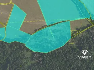 Prodej podílu lesa, Čím, 13775 m2