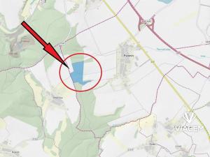 Prodej podílu lesa, Palonín, 21888 m2