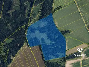 Prodej podílu lesa, Palonín, 36784 m2