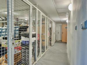Prodej bytu 2+1, Praha - Dejvice, Mydlářka, 62 m2