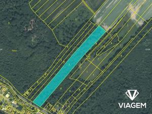 Prodej lesa, Horní Lhota, 11423 m2