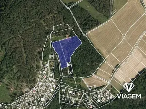 Prodej podílu lesa, Stražisko, 2108 m2