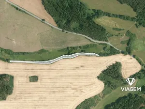 Prodej lesa, Svojšín, 2777 m2