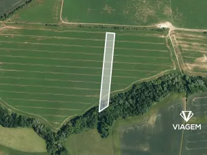 Prodej podílu pole, Osvětimany, 3431 m2