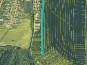 Prodej pole, Bílovice, 7022 m2