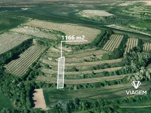 Prodej podílu pole, Uherčice, 233 m2