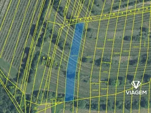 Prodej podílu pole, Uherčice, 233 m2
