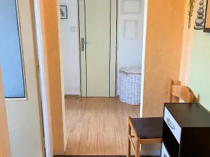 Pronájem bytu 1+1, Brno, Horácké náměstí, 49 m2