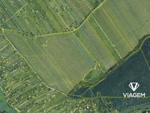 Prodej pole, Strážnice, 3361 m2