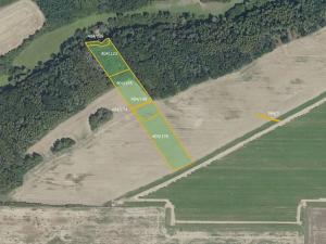 Prodej lesa, Vyšehořovice, 19741 m2