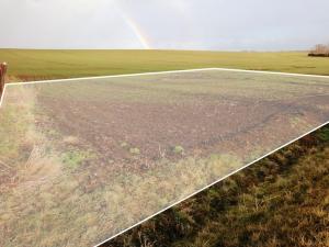Prodej pozemku pro bydlení, Široké Třebčice, 805 m2